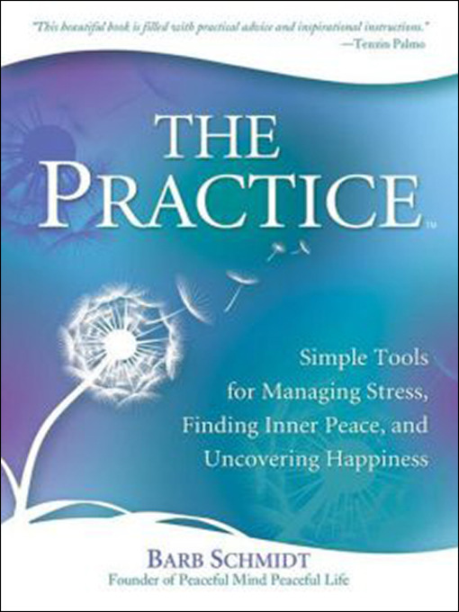 Title details for The Practice by Barb Schmidt - Available
